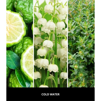 Icon Scent the Road Cold Water ( chladná voda ) - Vůně do auta